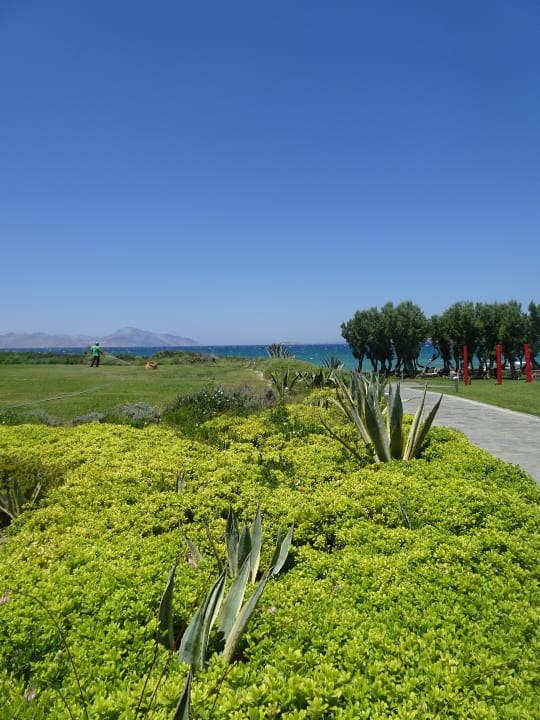 Gartenanlage Neptune Luxury Resort