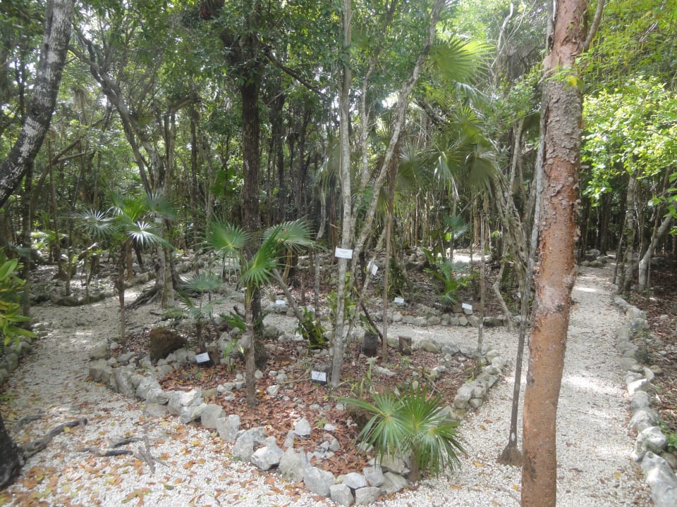 Orchideen Garten Grand Palladium Select White Sand Resort & Spa