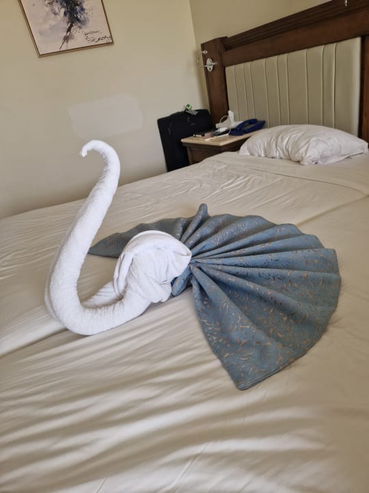 Zimmer Serenity Alpha Beach