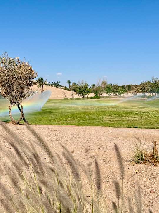 Außenansicht JAZ Neo Saraya Palms