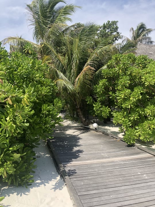 Gartenanlage Angaga Island Resort