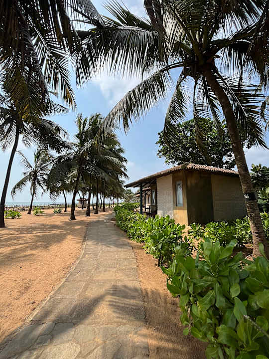 Gartenanlage Club Hotel Dolphin