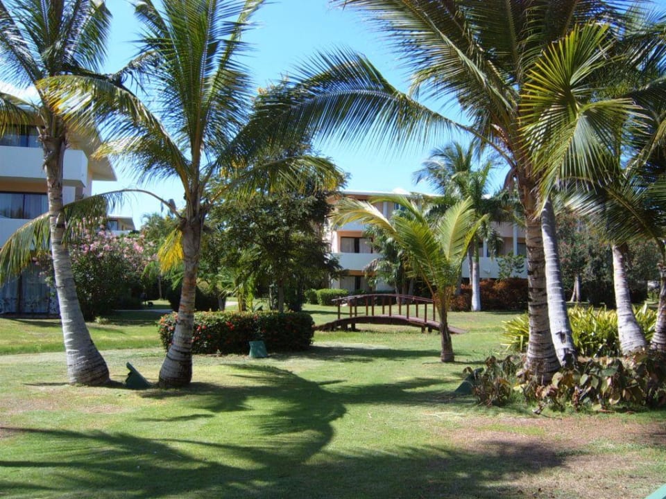Gartenanlage Catalonia Punta Cana - All Inclusive