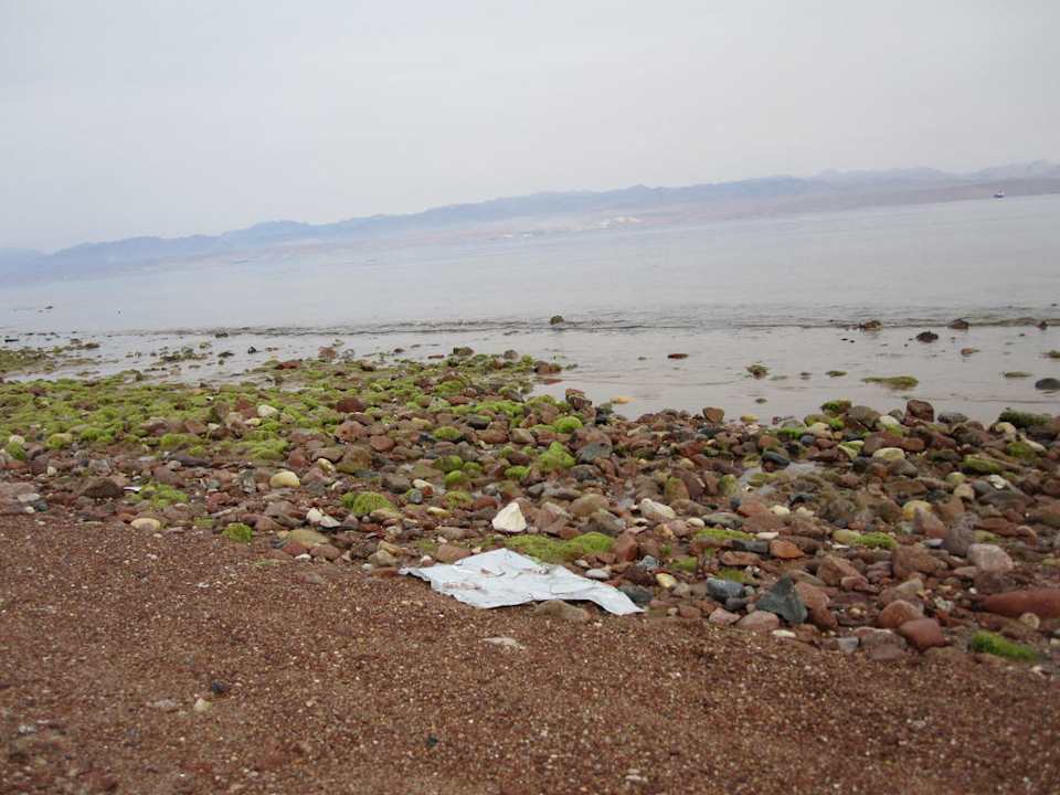 "Hausriff" Hotel Swiss Inn Dream Resort Taba