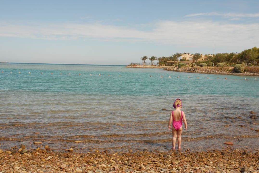 Kind am Strand Mövenpick Resort & Spa El Gouna