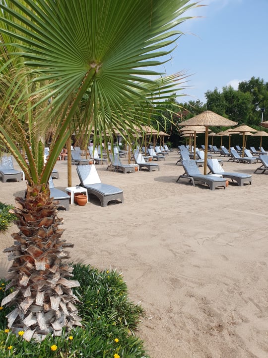 Strand Hotel Delphin Diva