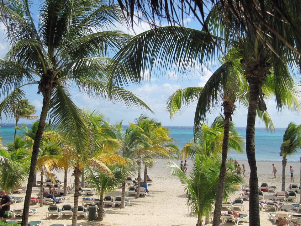 Ein Traum!!! Hotel Riu Tequila