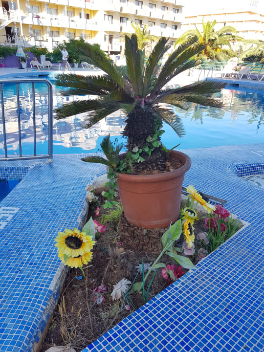 Pool Bei Juan Playa Blanca