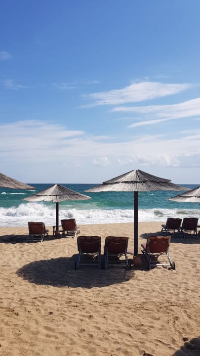 Strand Miramar Al Aqah Beach Resort