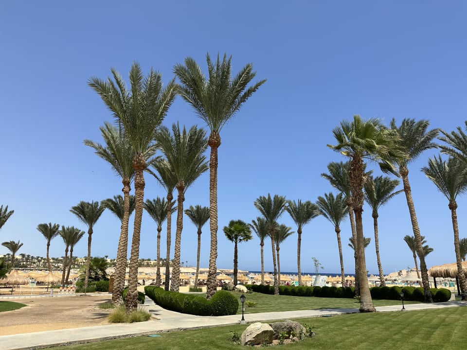 Gartenanlage Jaz Solaya