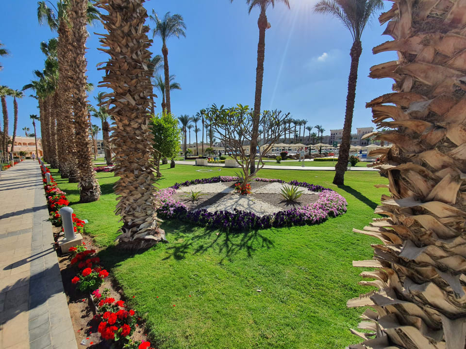 Gartenanlage Beach Albatros Resort