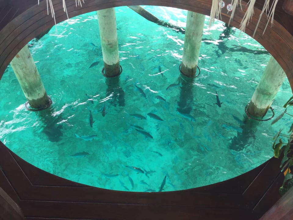 Restaurant Centara Ras Fushi Resort & Spa Maldives