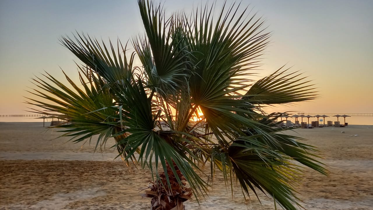 Strand Casa Mare Resort