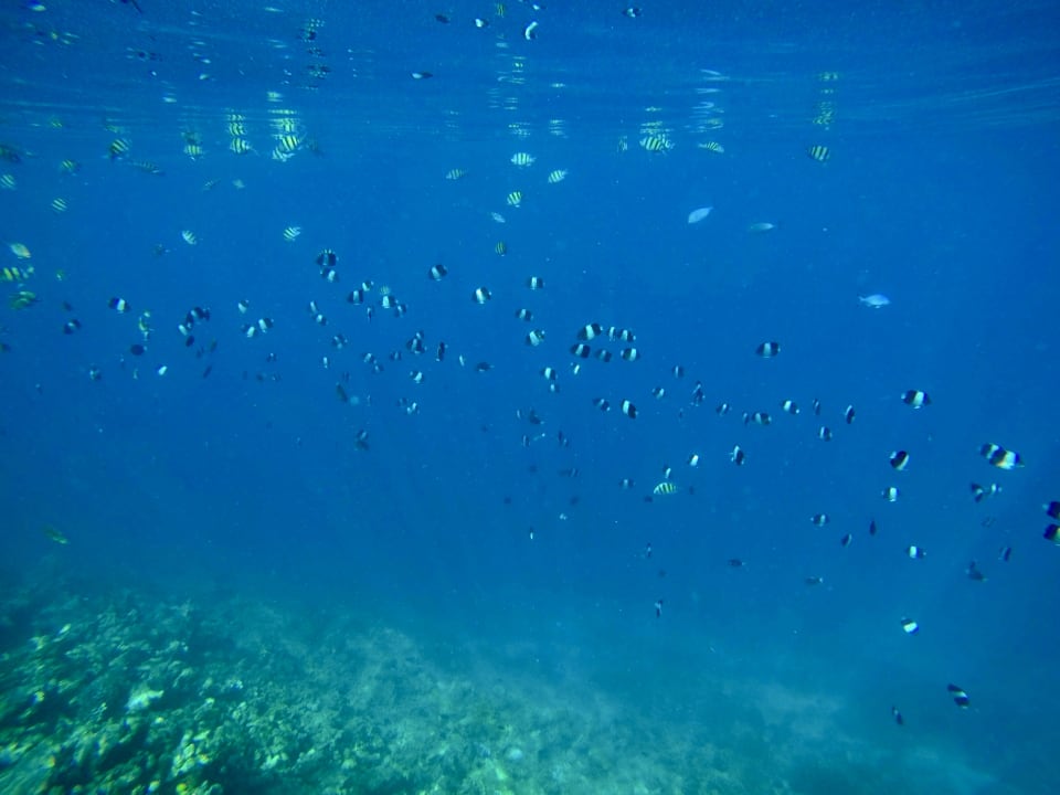 Sport & Freizei Cinnamon Dhonveli Maldives