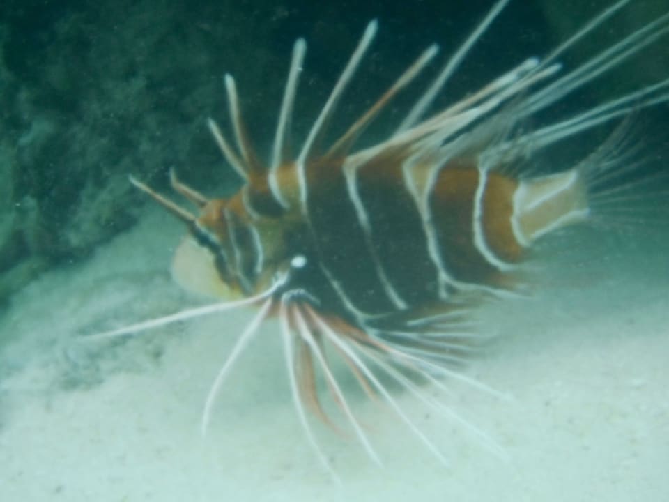 Sport & Freizeit Adaaran Select Hudhuran Fushi - Premium All Inclusive