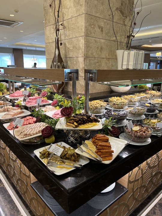 Gastro Papillon Ayscha