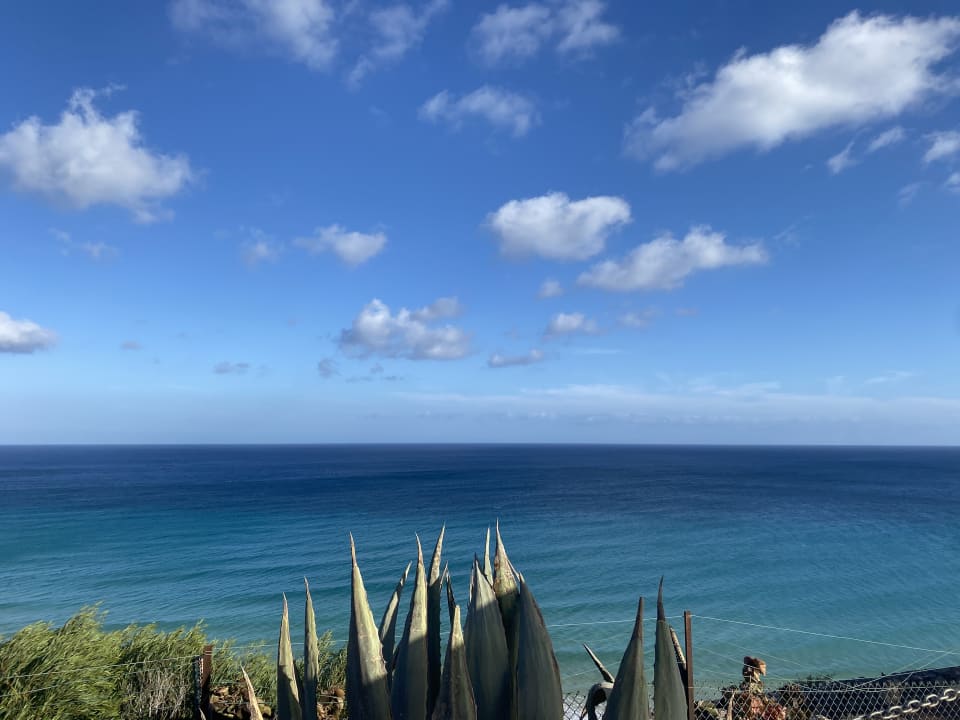 Ausblick ROBINSON ESQUINZO PLAYA