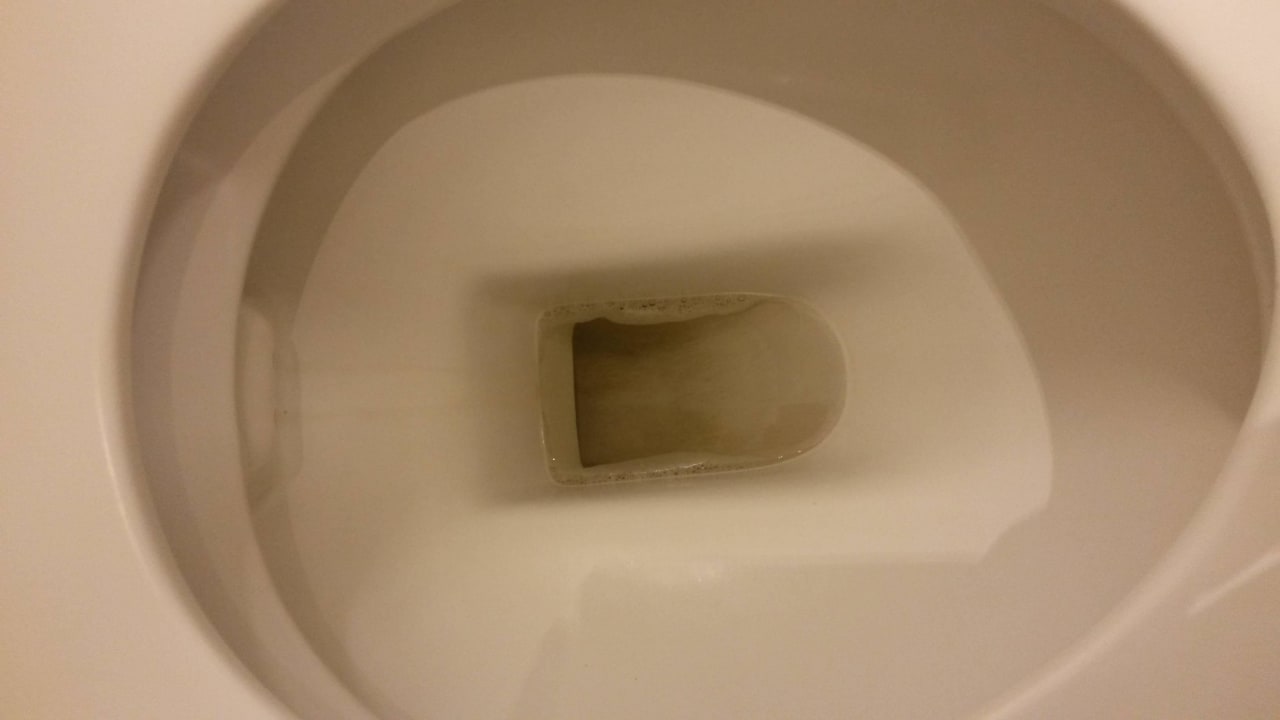 Ansicht im WC-Becken Seminaris Seehotel Potsdam