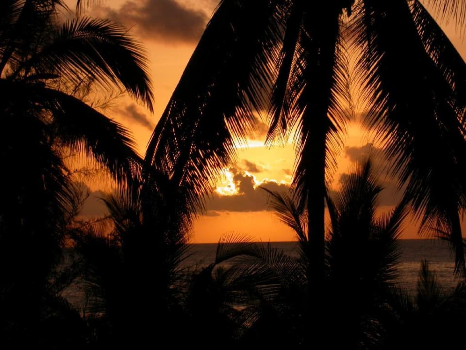 Sonnenaufgang Resort Amani Tiwi Beach