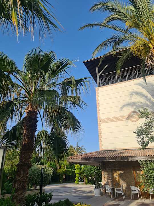 Gastro TUI KIDS CLUB Felicia Village