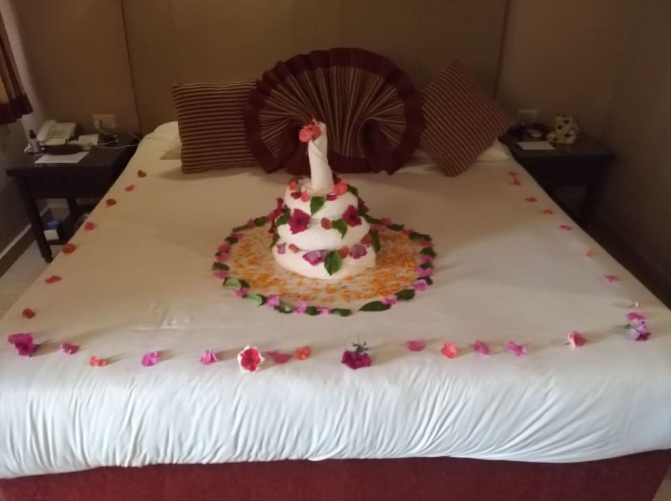 Zimmer Jaz Makadi Oasis Resort