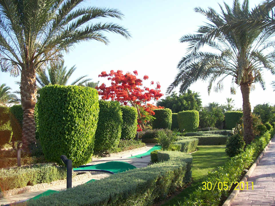 Immer in arbeit Pickalbatros Alf Leila Wa Leila Resort - Neverland Hurghada