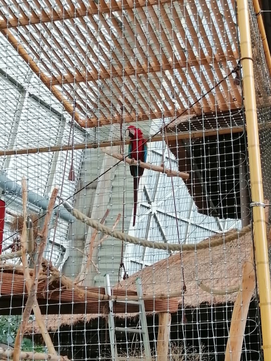 Sport & Freizeit Tropical Islands Resort