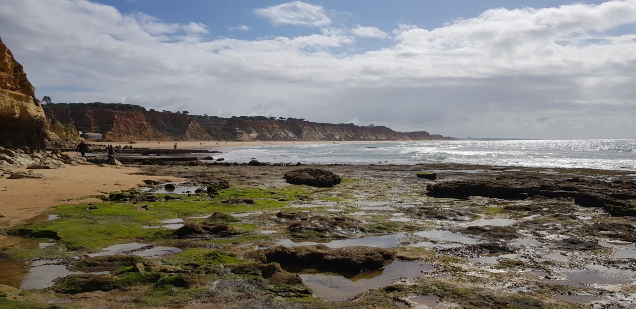 Strand PortoBay Falésia