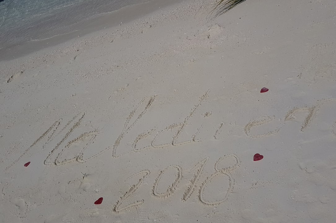 Strand Summer Island Maldives