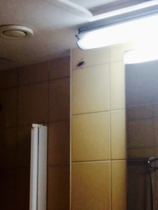 Zimmer SBH Hotel Taro Beach