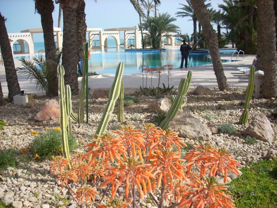 Gepflegter Garten und Pool Zita Beach Resort