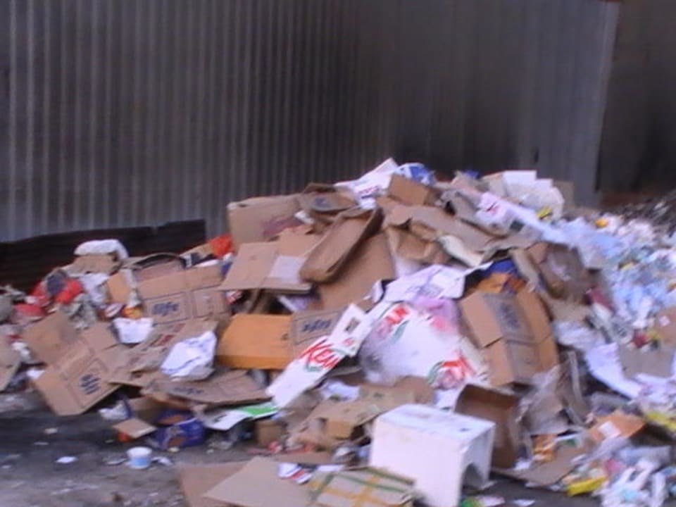 Biowanderweg Villa Park Sun Island