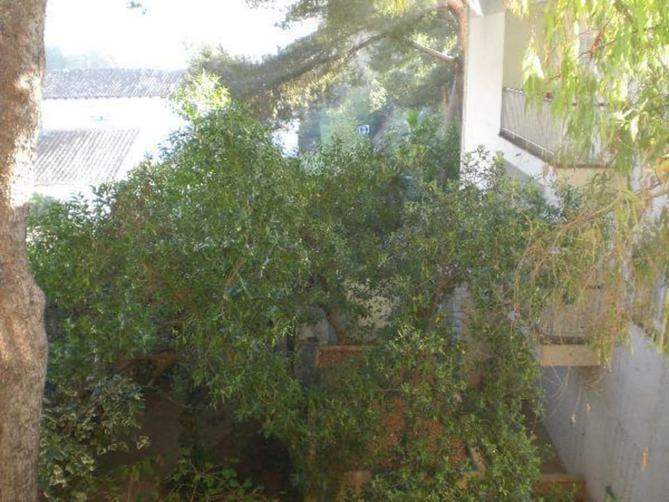 Gartenansicht von oben Aparthotel Houm Plaza Son Rigo