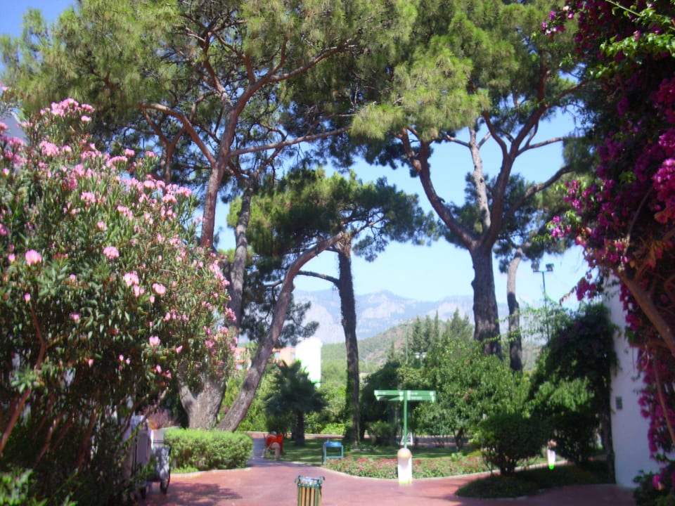 Garten Emelda Sun Club
