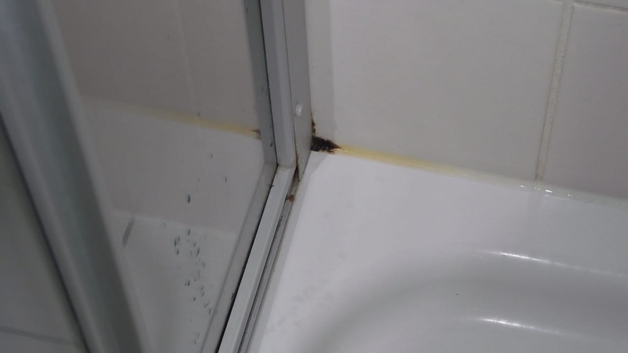 Bad mit Schimmel Ferienwohnungen Ferienpark Weissenhäuser Strand