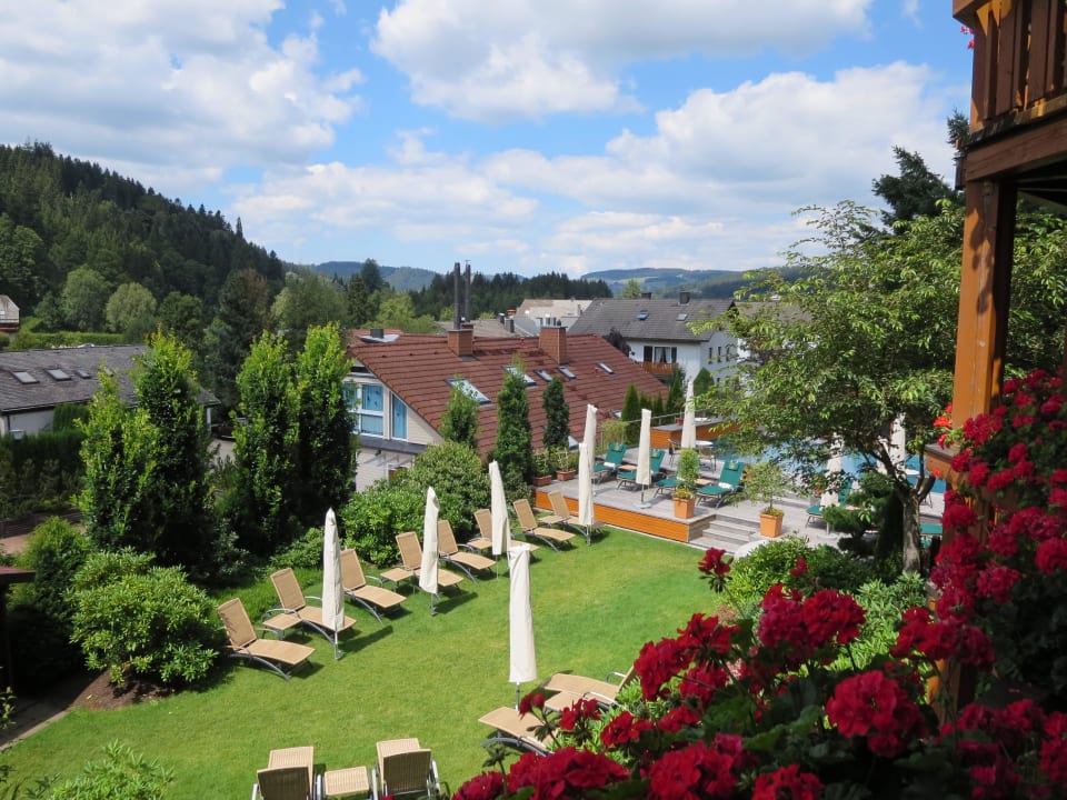 Garten und Pool Erfurth's Bergfried Ferien & Wellnesshotel
