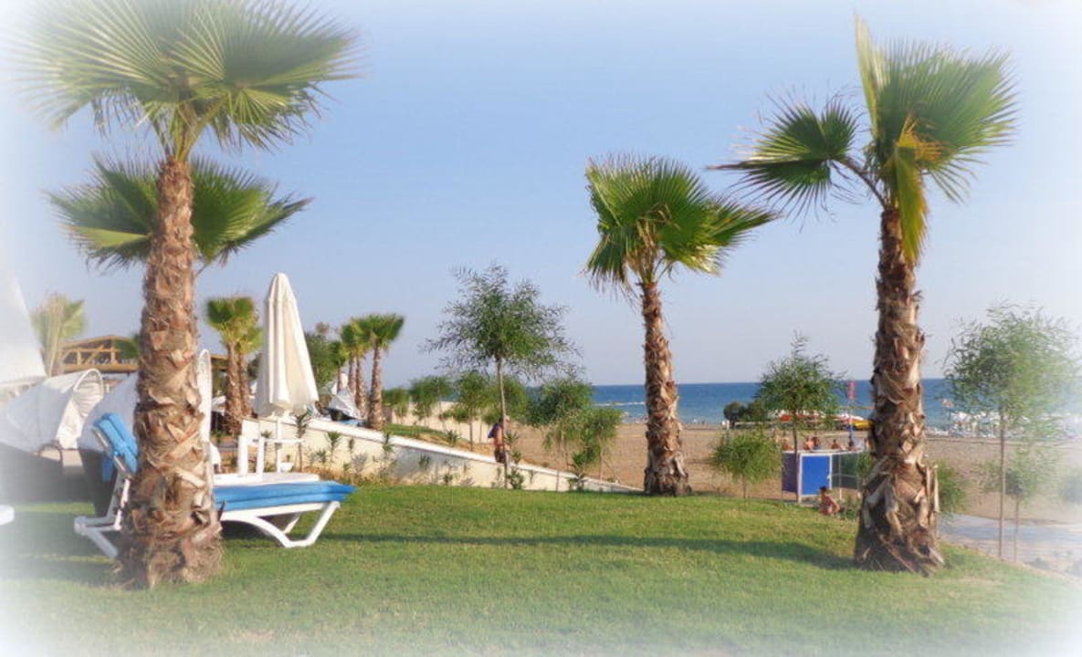 Weg zum Strand Sultan of Dreams Hotel & Spa