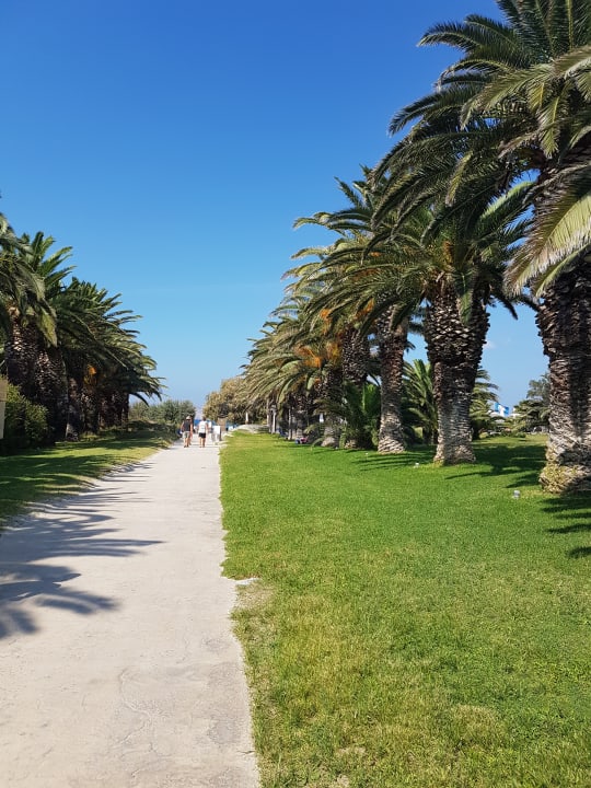 Gartenanlage Caravia Beach Hotel