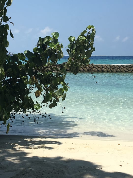 Strand Centara Ras Fushi Resort & Spa Maldives