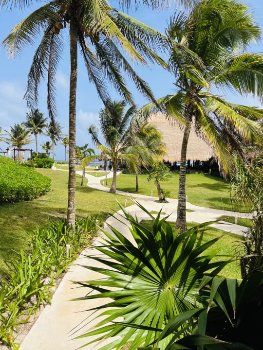 Außenansicht Akumal Bay Beach & Wellness Resort