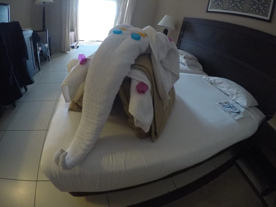 Jeden Tag etwas Neues Jaz Dar EL Madina