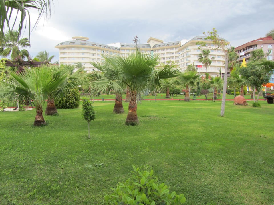 Saphir Resort & Spa Saphir Resort & Spa