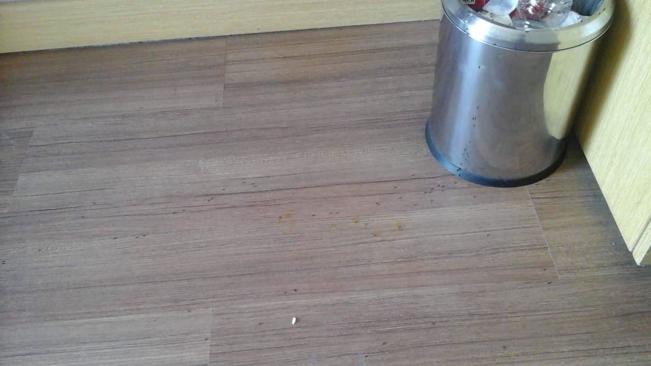 Nur ein teil von der Arme  Sunis Kumköy Beach Resort Hotel & Spa