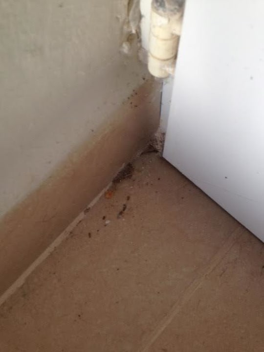 Nettoyage chambre Sun Club Eldorado