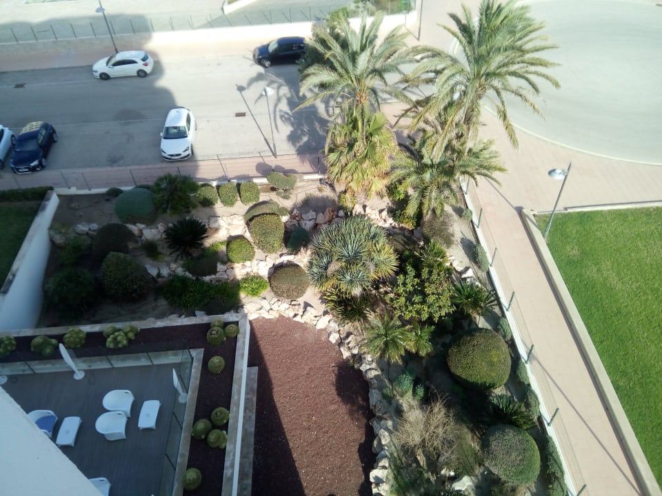 Gartenanlage Hipotels Hipocampo Playa