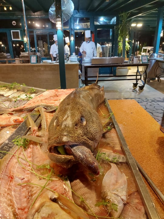 Gastro Club Paradisio El Gouna, Red Sea