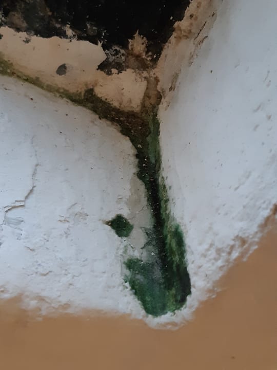 Zimmer The Marian Boutique Lodging House