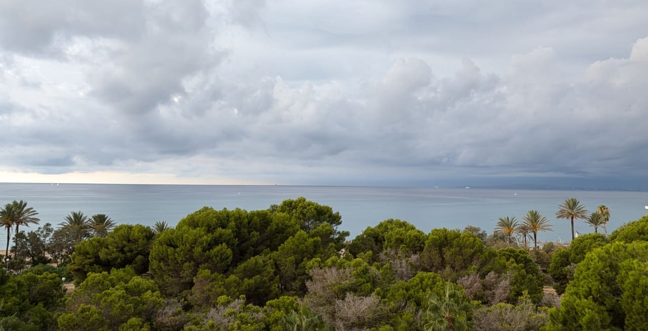 Ausblick Aparthotel Houm Plaza Son Rigo