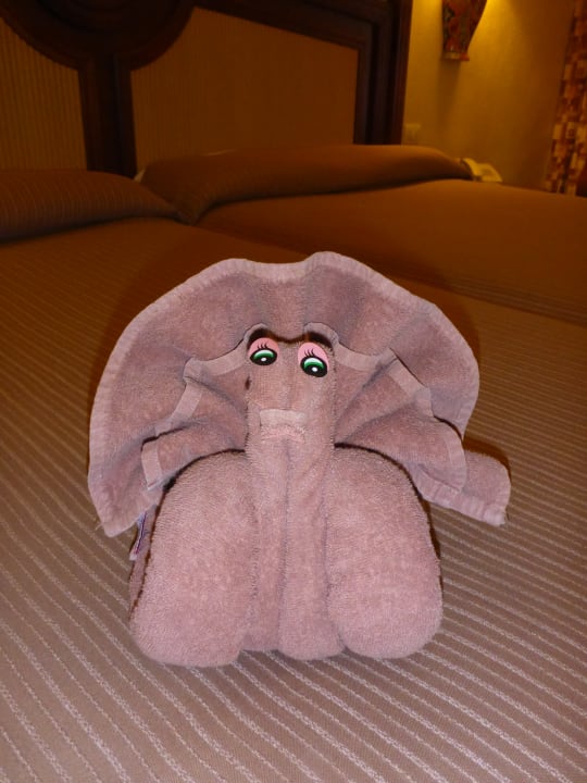 Zimmer Hotel Riu Tequila