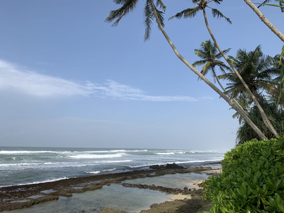 Strand Ayurveda Paragon Hotel